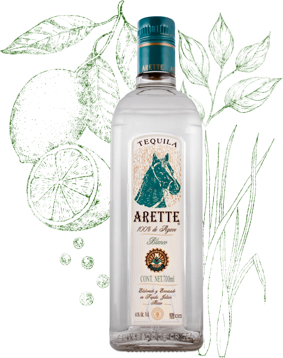 アレッテ・ブランコ / Arette Blanco